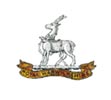 Cap Badge