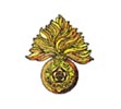 Cap Badge
