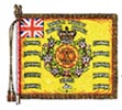 Regimental Colour