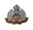 Cap Badge