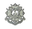Cap Badge