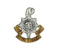 Cap Badge