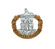 Cap Badge