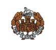 Cap Badge