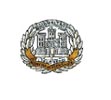 Cap Badge