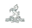 Cap Badge