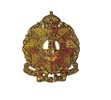 Cap Badge