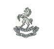 Cap Badge